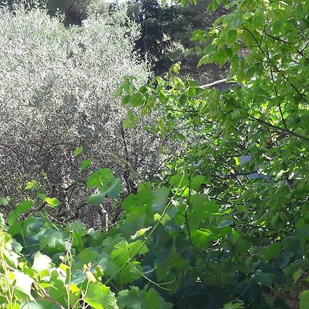 Bastide Sainte Agnes Bed & Breakfast Carpentras Exterior photo